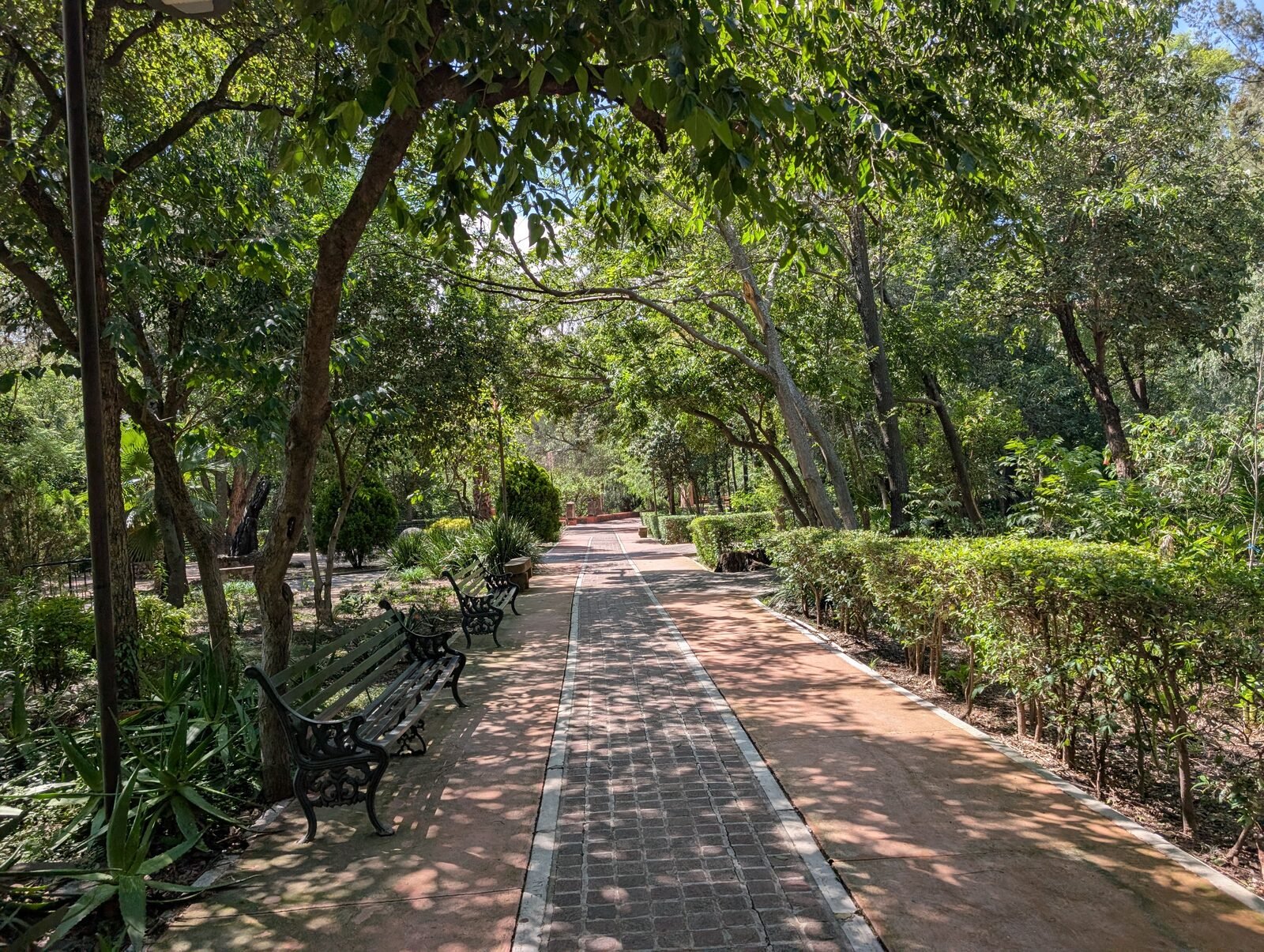 Benito Juárez Park